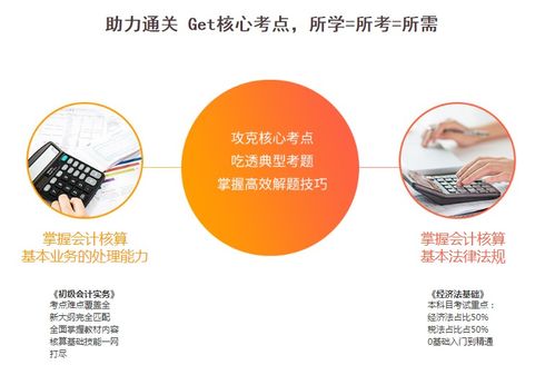 初級(jí)會(huì)計(jì)職稱課程